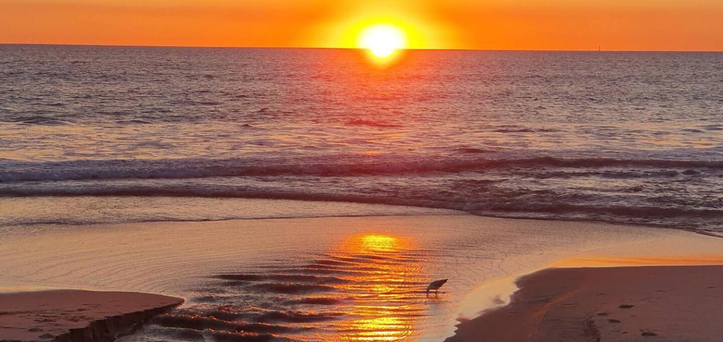 Sandcastles At The Beach Outstanding Location! パース エクステリア 写真